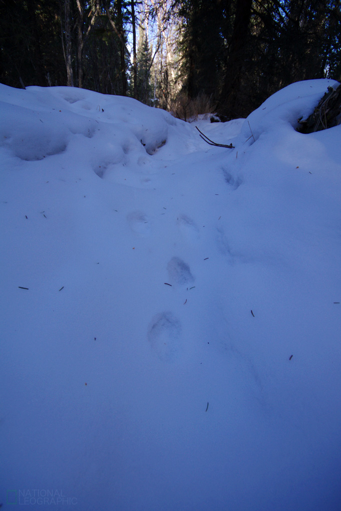 c0080101_1962447.jpg