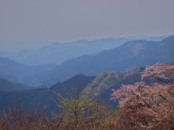 f0109601_1729342.jpg