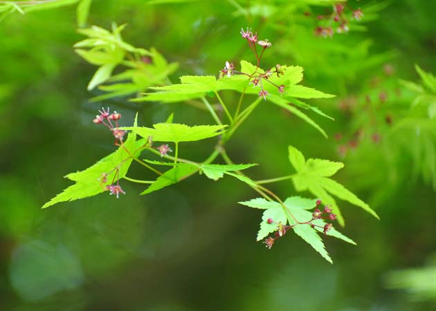 a0044202_8124197.jpg