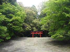 c0047602_21425075.jpg
