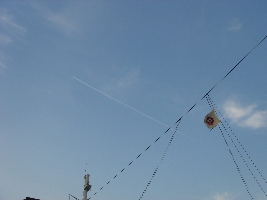 c0047602_231141.jpg
