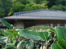 c0047602_2318969.jpg