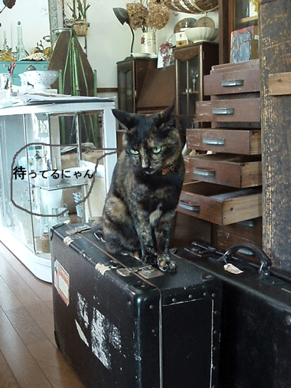 c0129702_0581786.gif