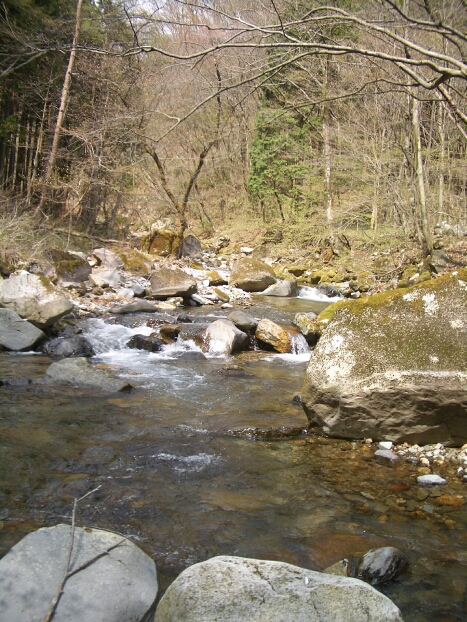 b0172805_4415271.jpg