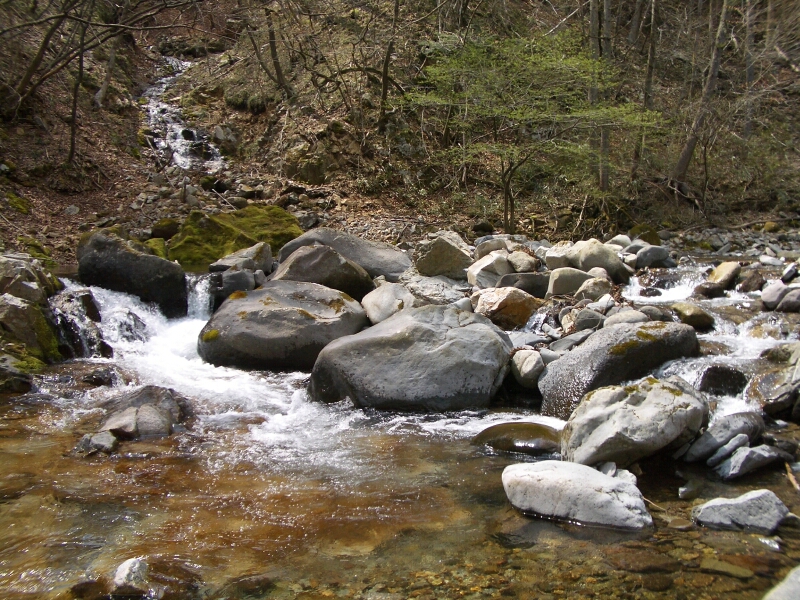 b0172805_4432713.jpg