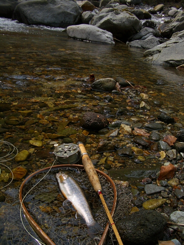 b0172805_447437.jpg