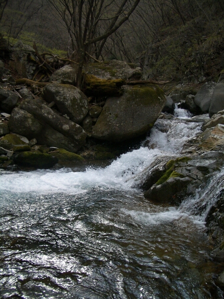 b0172805_5193189.jpg