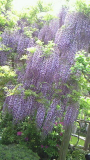 d0058606_23113353.jpg