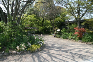 a0139007_14504319.jpg