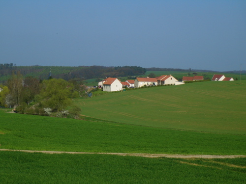 d0135907_21532451.jpg