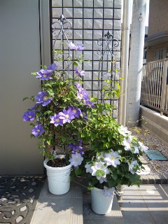 c0201113_22102989.jpg
