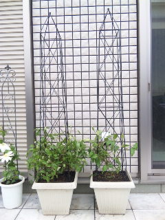 c0201113_2210550.jpg