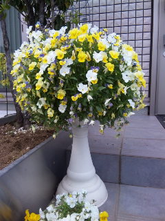 c0201113_22131831.jpg