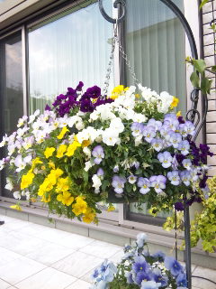 c0201113_22135644.jpg