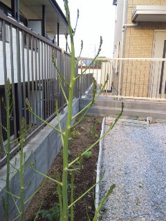 c0201113_22164011.jpg