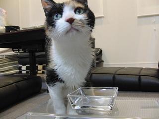 c0201113_22215925.jpg