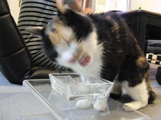 c0201113_22242589.jpg