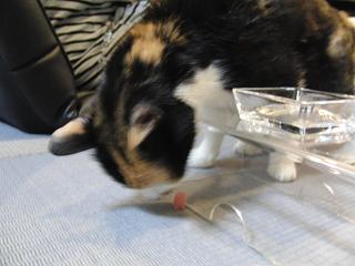 c0201113_22253592.jpg