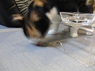 c0201113_222657.jpg