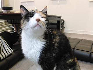 c0201113_22294760.jpg
