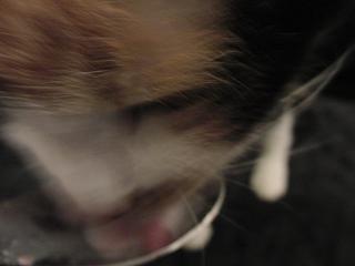 c0201113_22312973.jpg