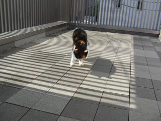 c0201113_2244111.jpg