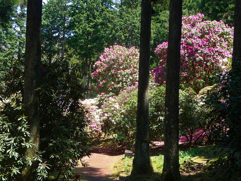 f0182513_20452835.jpg