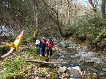 a0127015_21255285.jpg