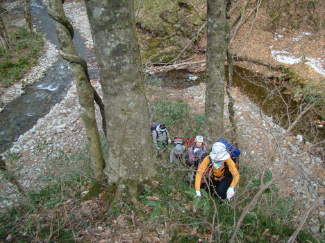 a0127015_2129157.jpg