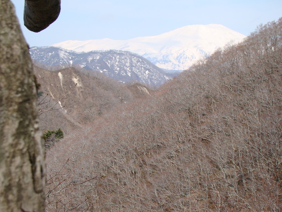 a0127015_21301352.jpg