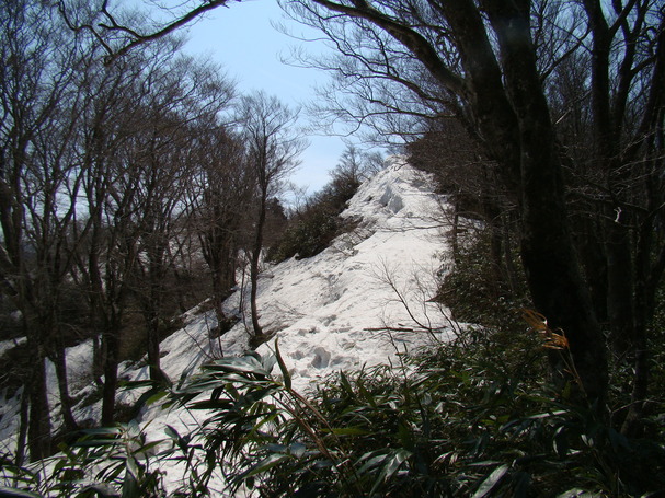a0127015_21334699.jpg