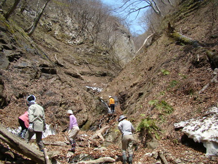 a0127015_21453383.jpg