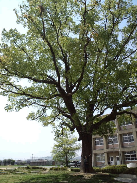 a0133915_2152858.jpg