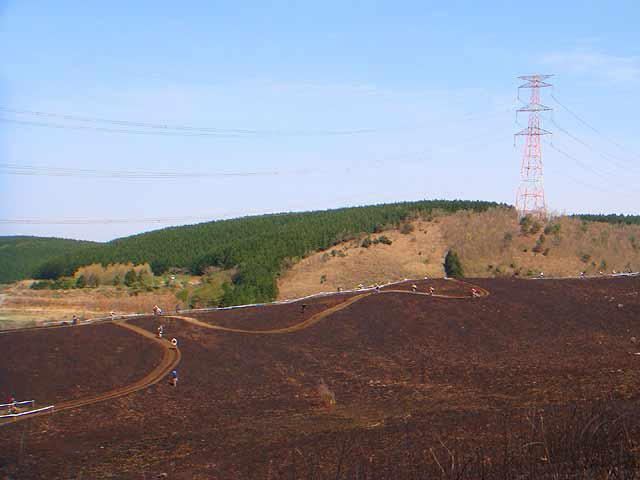 b0146418_1254987.jpg