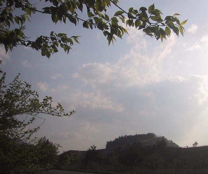 c0097620_20343262.jpg