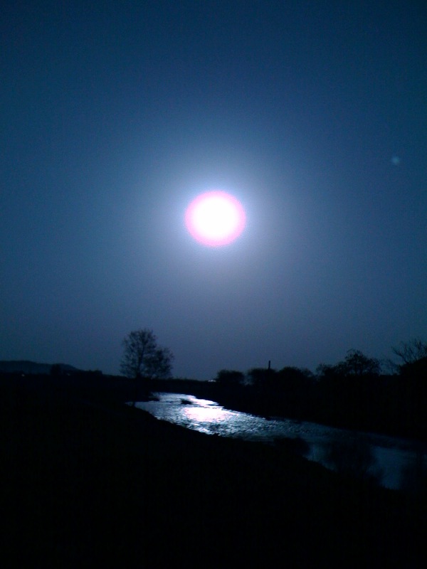 f0234821_6341014.jpg