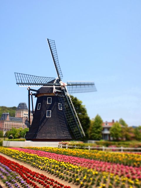 c0175022_13515531.jpg
