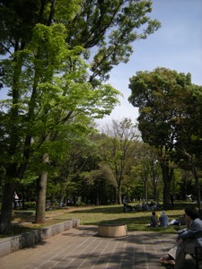 d0006422_233169.jpg