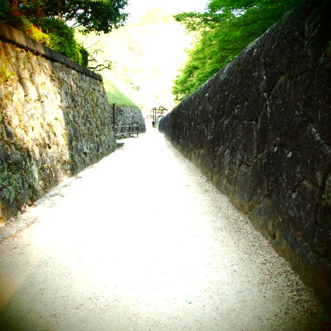 f0031722_235121.jpg