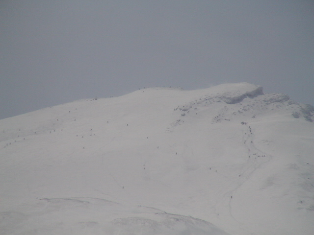 f0028123_10304522.jpg