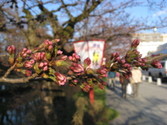b0147224_22273842.jpg