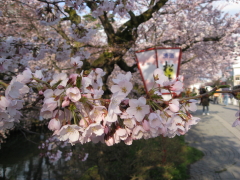 b0147224_22293056.jpg