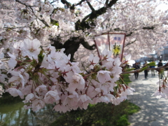 b0147224_22294619.jpg