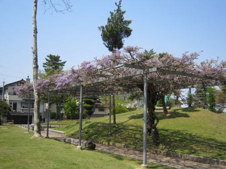 b0181027_025058.jpg