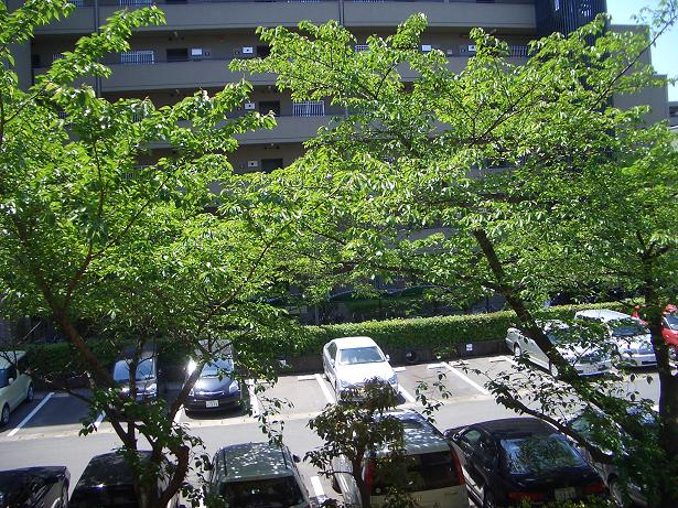 c0000827_11321871.jpg