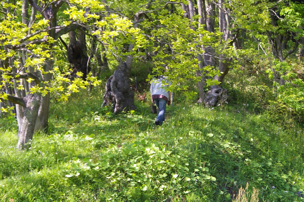 e0195928_1532155.jpg