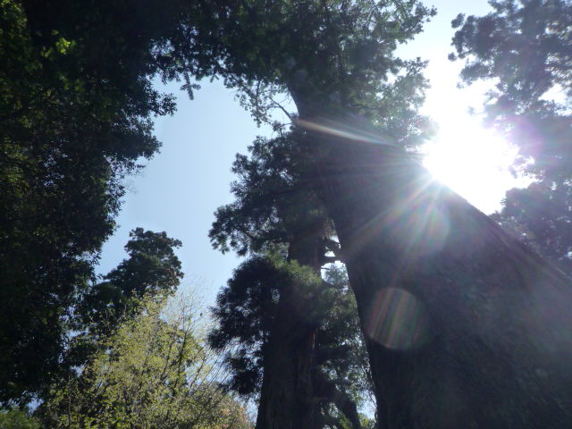 b0136931_2146783.jpg
