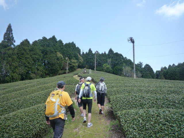 b0136931_21485581.jpg