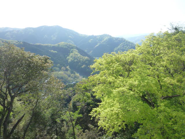b0136931_2245915.jpg