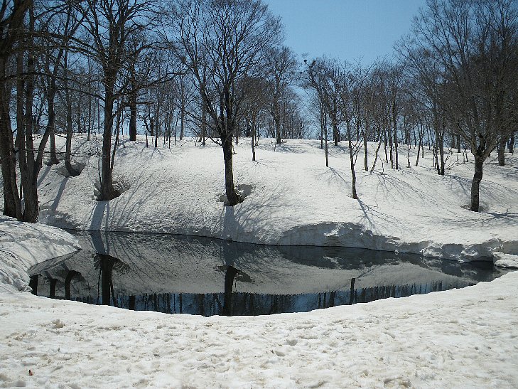 f0118332_2232167.jpg